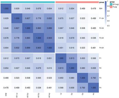 Metabonomic analysis to identify exometabolome changes underlying antifungal and growth promotion mechanisms of endophytic Actinobacterium Streptomyces albidoflavus for sustainable agriculture practice